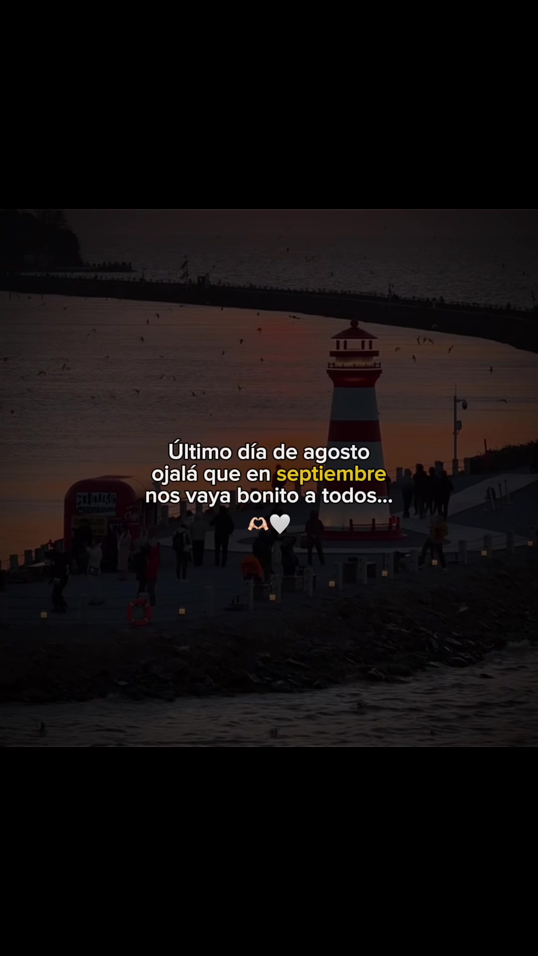 @ᴢᴏɴᴀ ᴍᴜsɪᴄ ツ