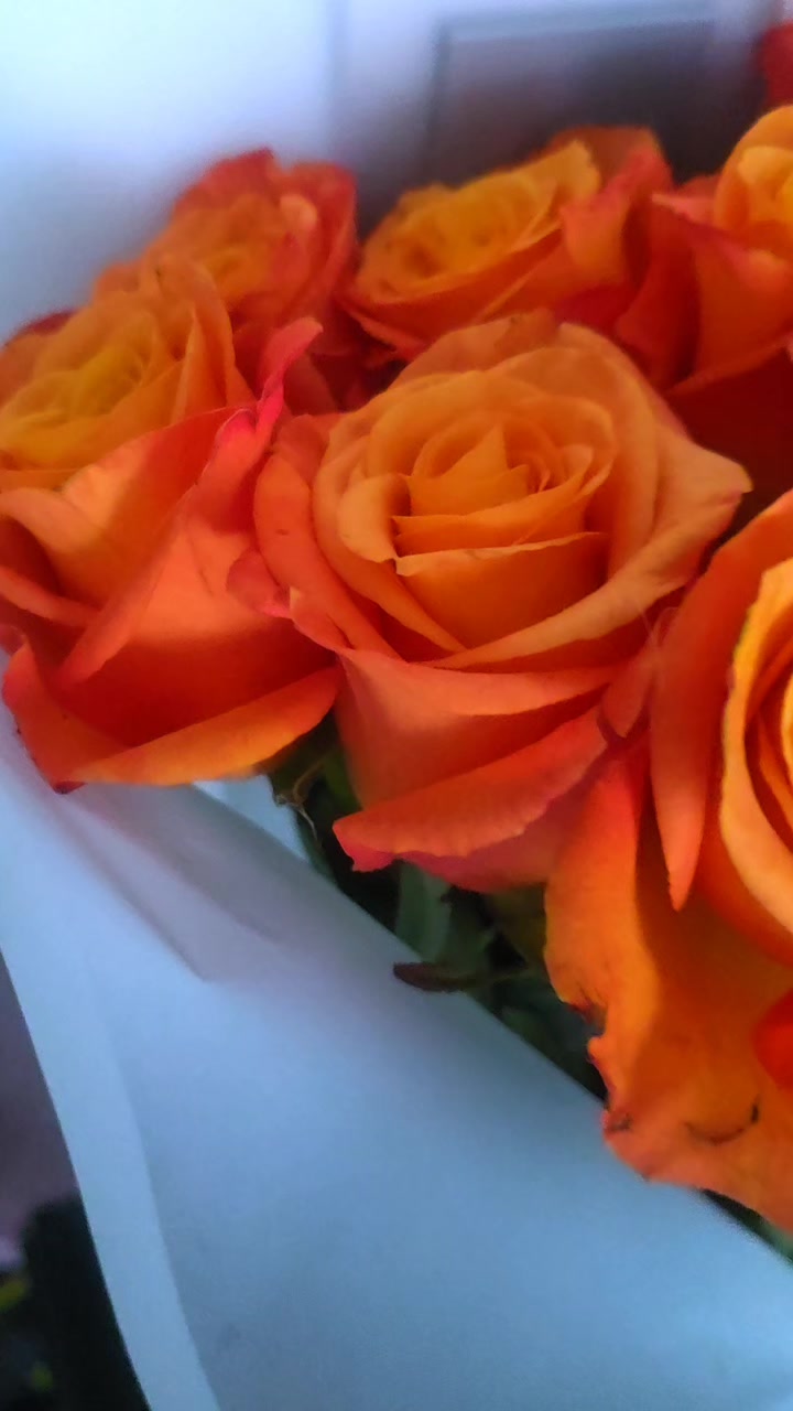 @olita_massage