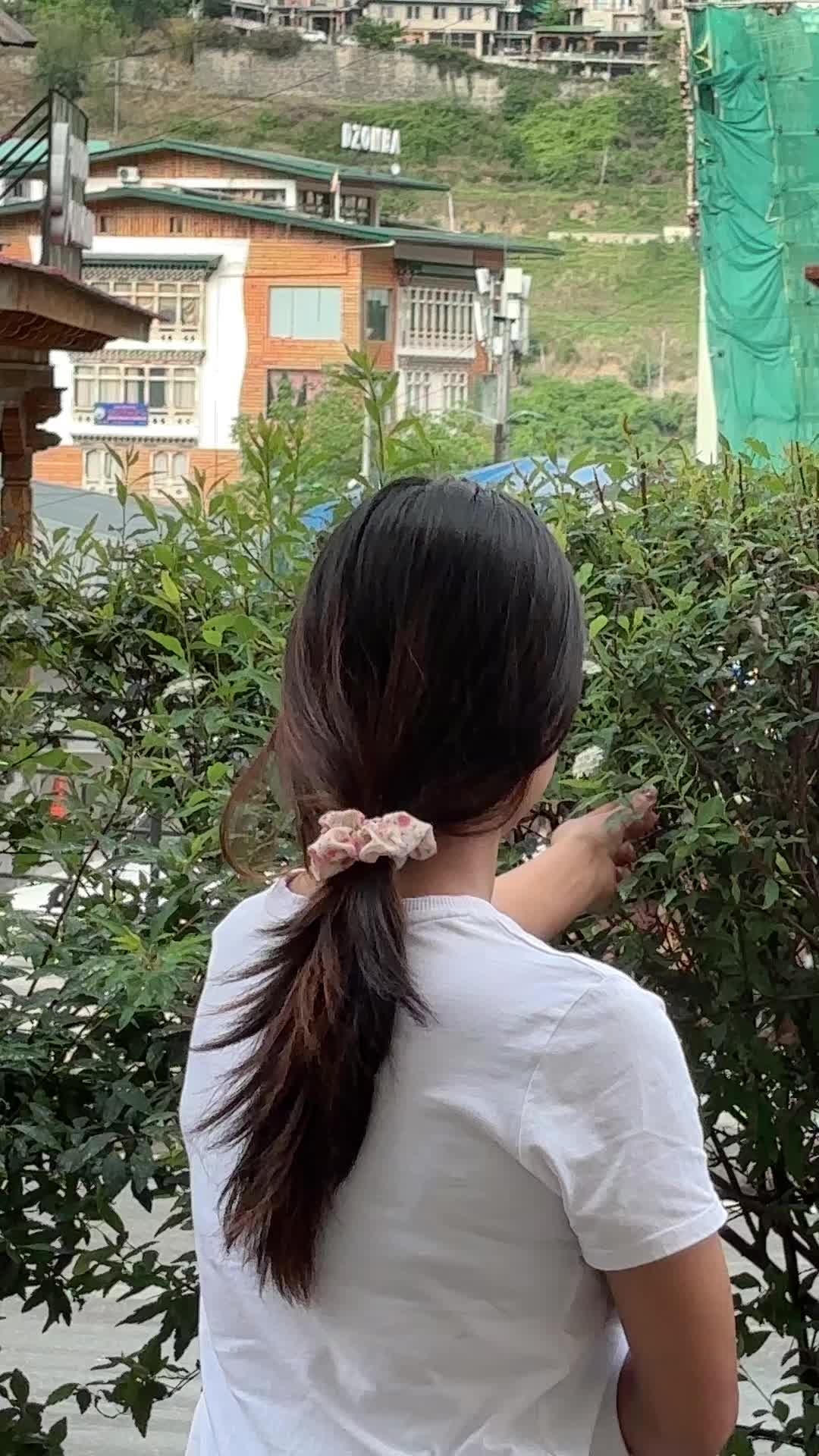 @P🐷