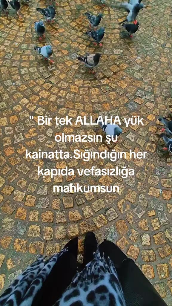 @YelizYeliz28