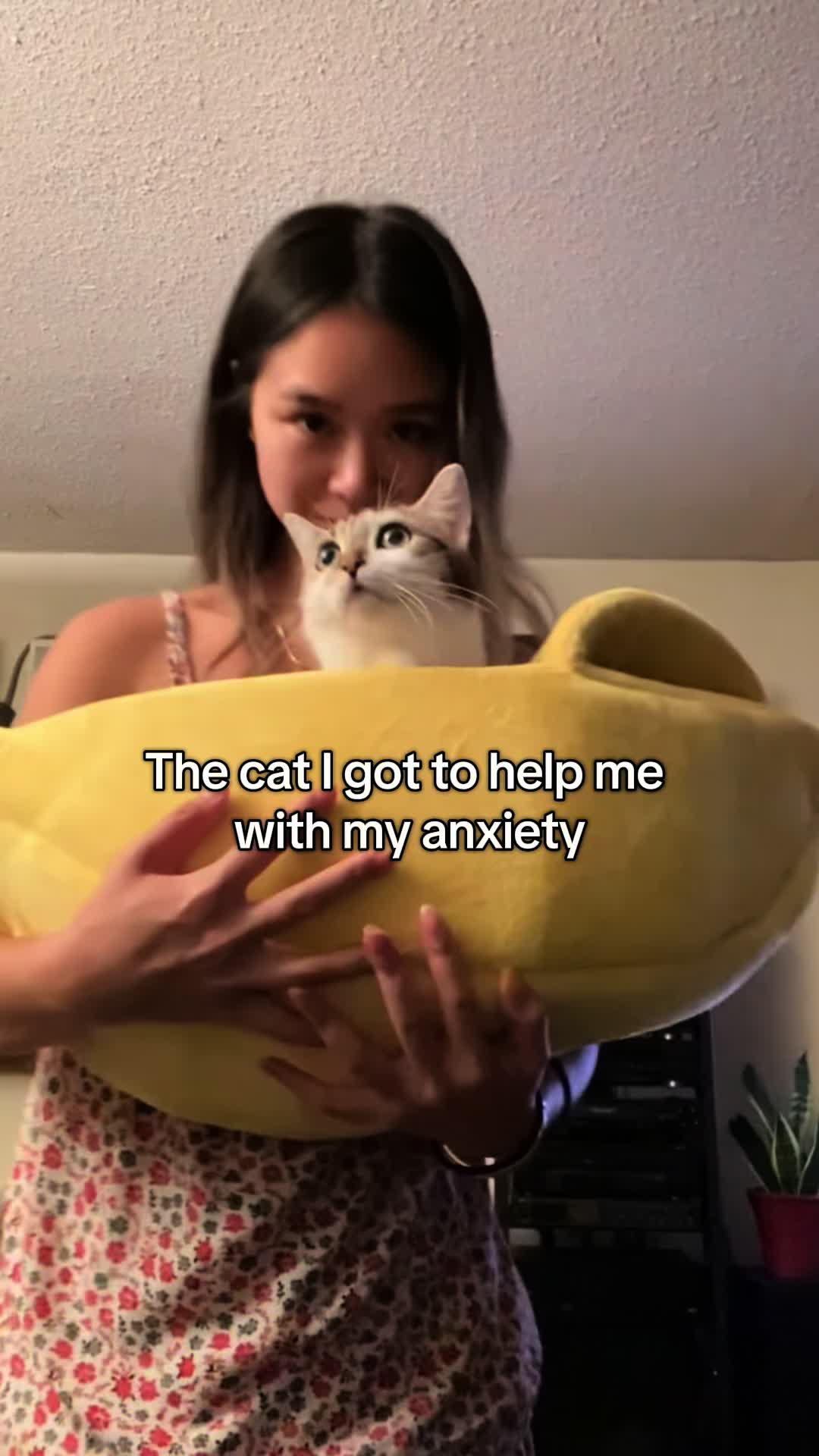 @Suki Purrs