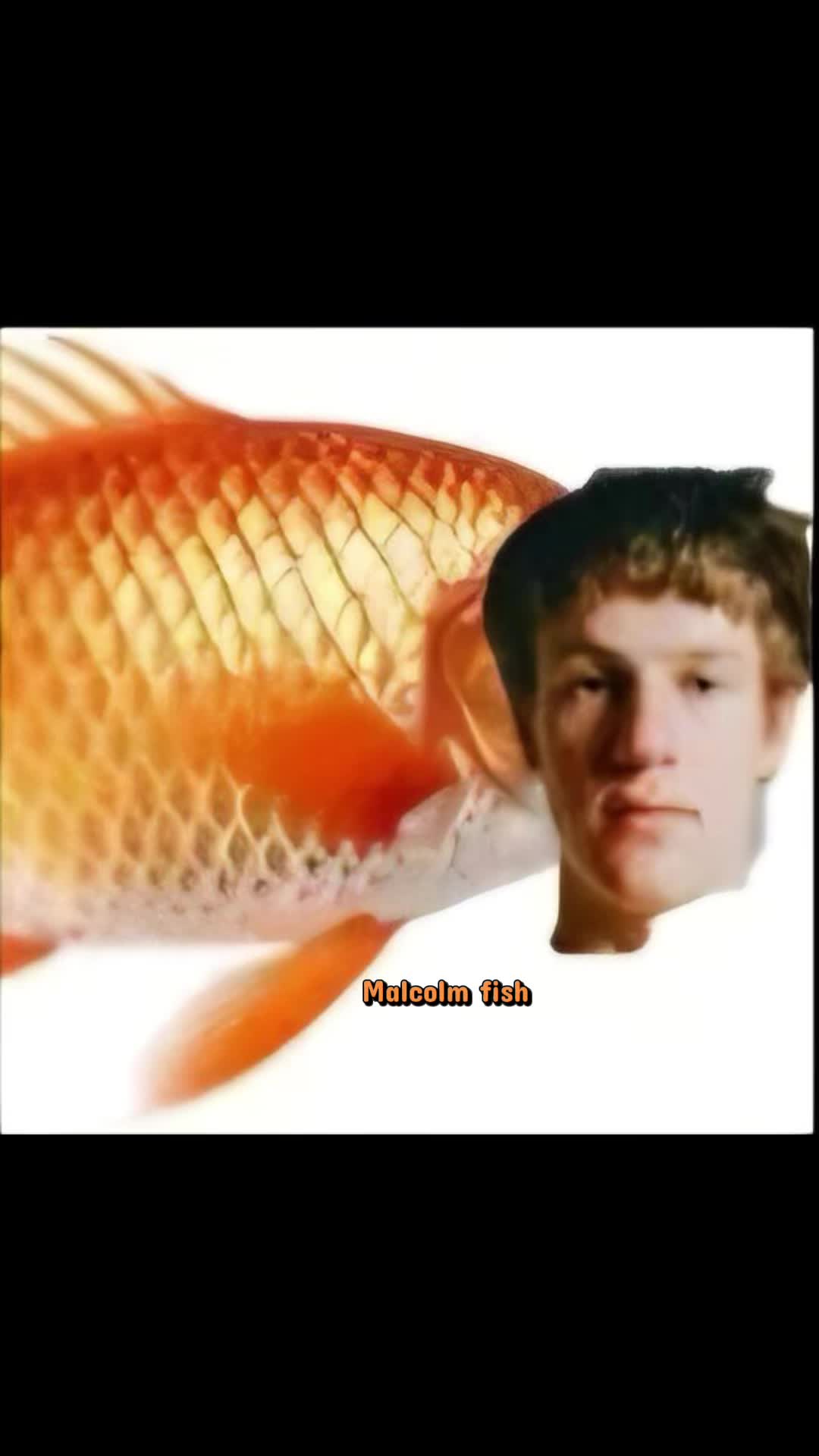 @𝔻𝕒𝕤𝕙