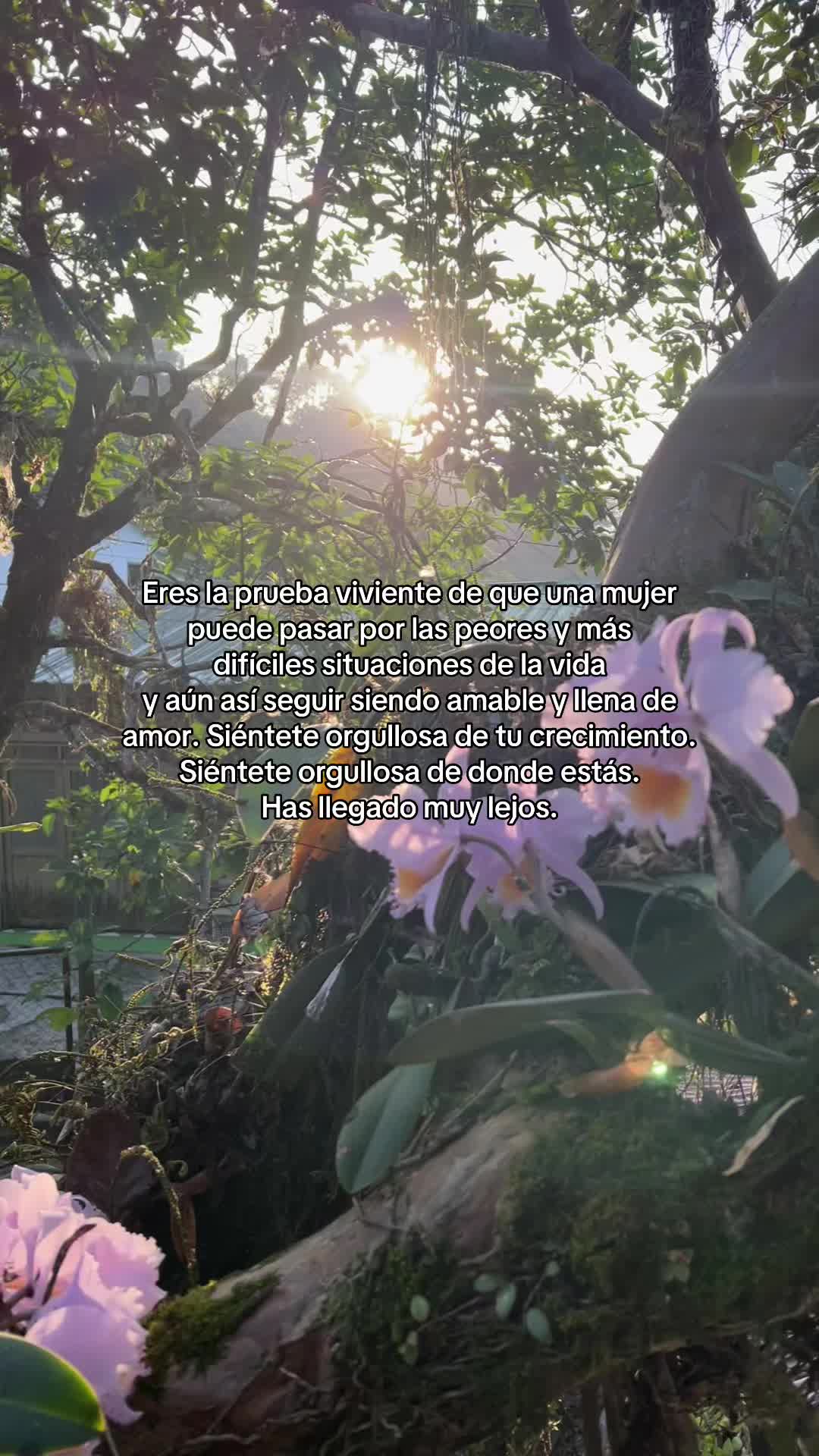 @LaJarro💜