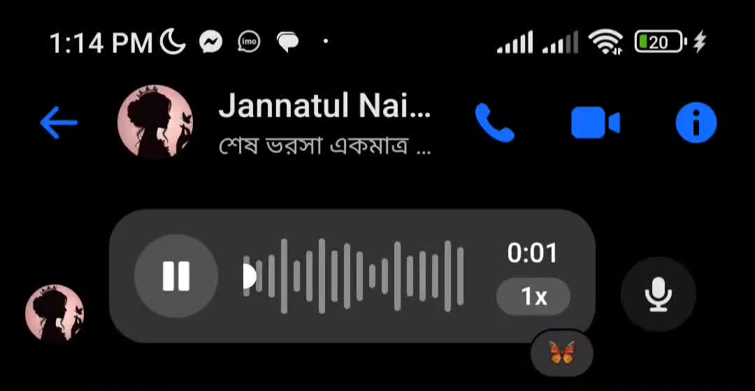 @Voice Of Jannatul