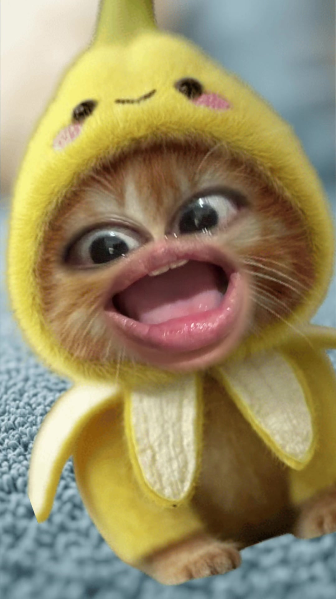 @hoomanpiggy