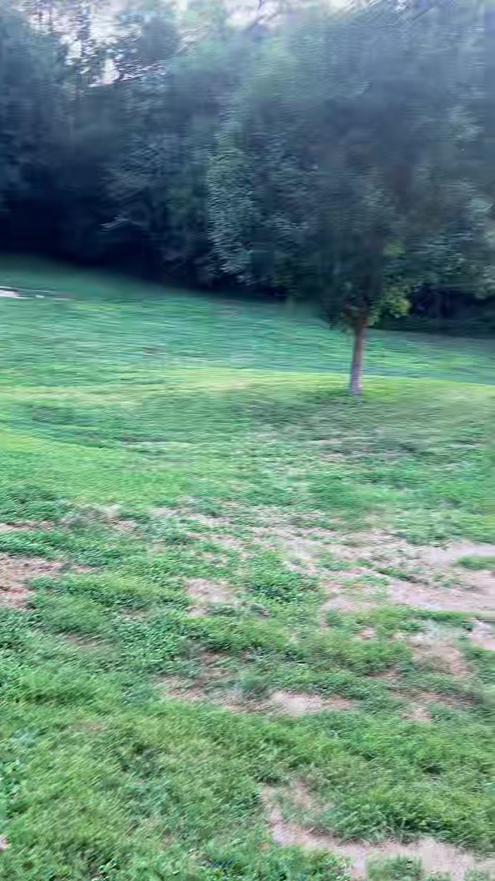 @Gaby García💃🇬🇹👀