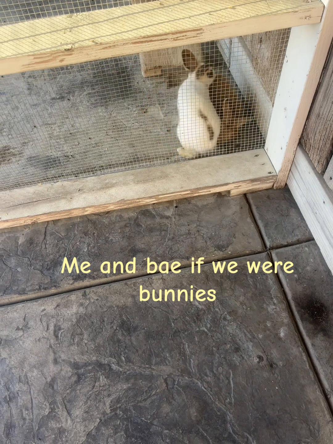 @𝖒𝖎𝖗𝖆
