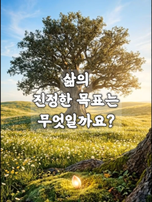 @빛의 씨앗