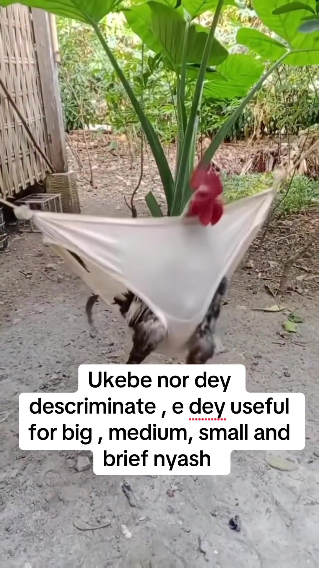 @FIOKEE