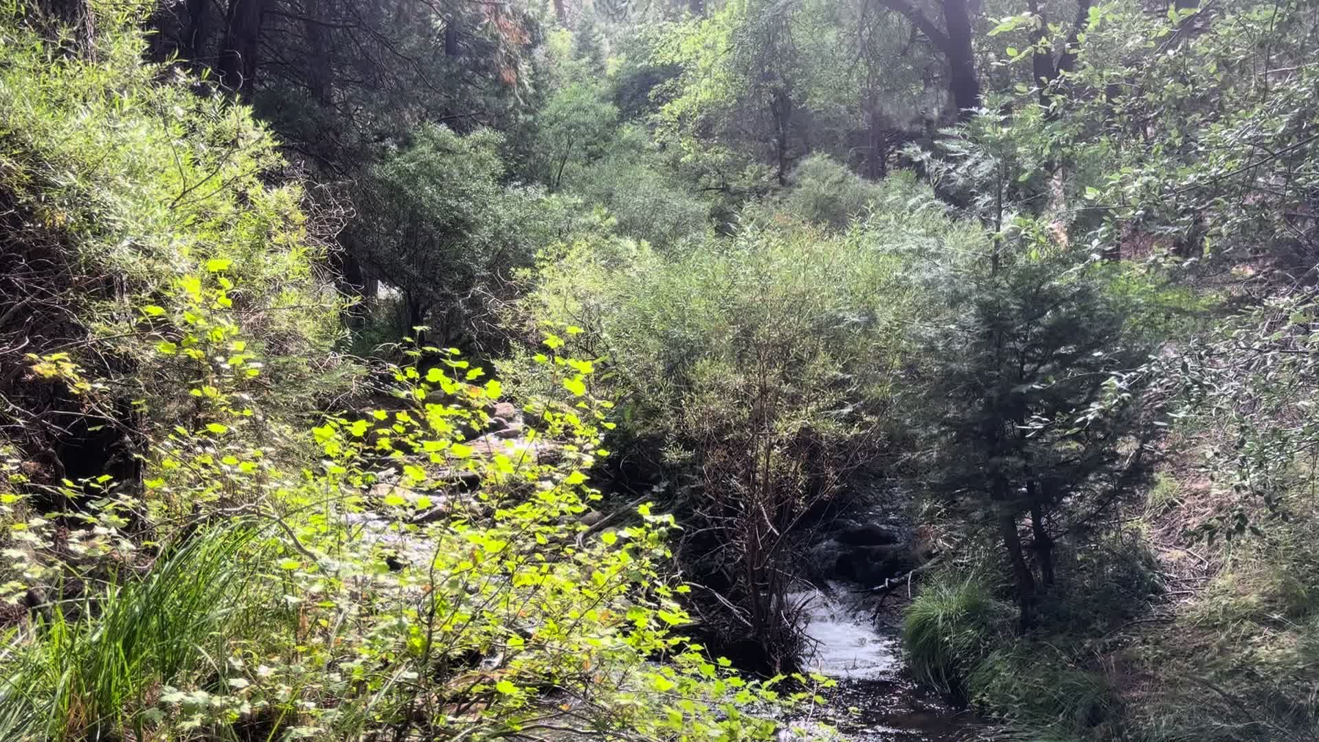 @🦾🕷️