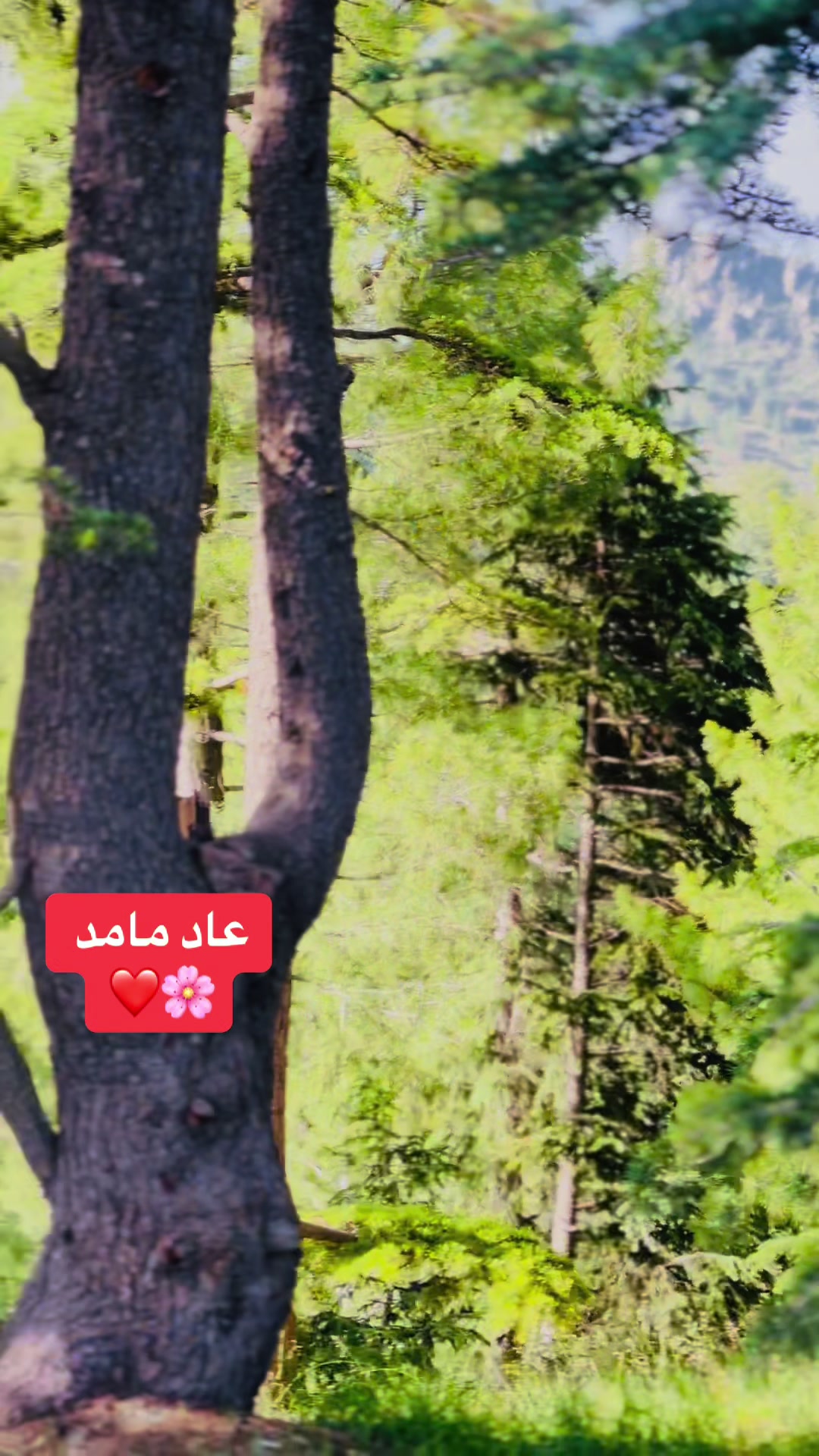 @👑 حاجی خوستی ❤️