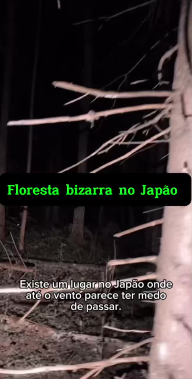 @lipão