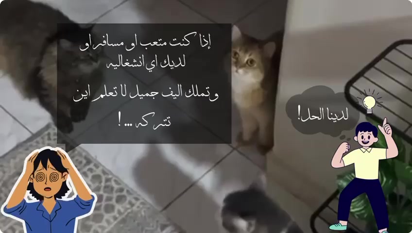@لولو الحسني🇸🇦🫀