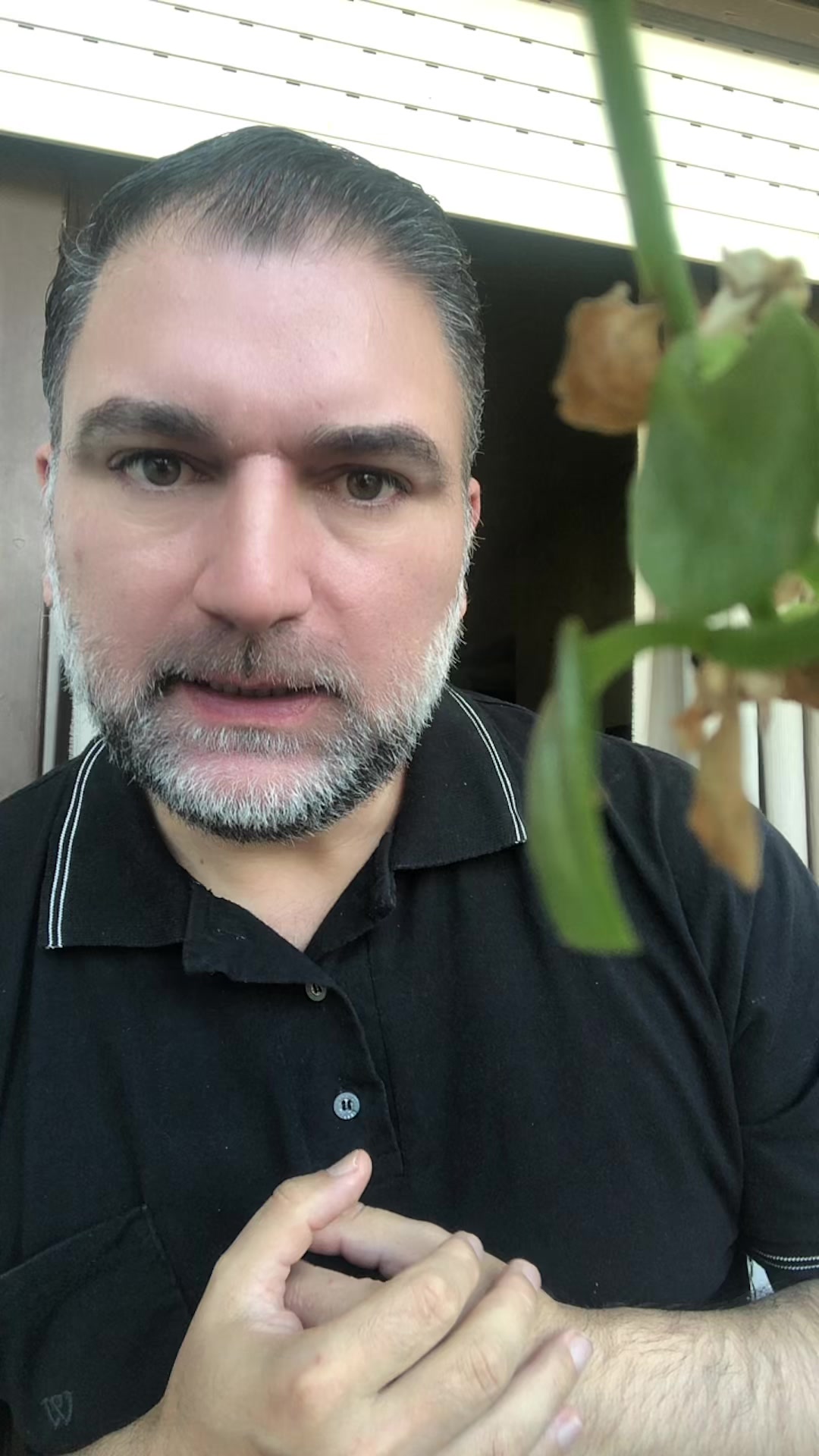 @Franco Dasilva