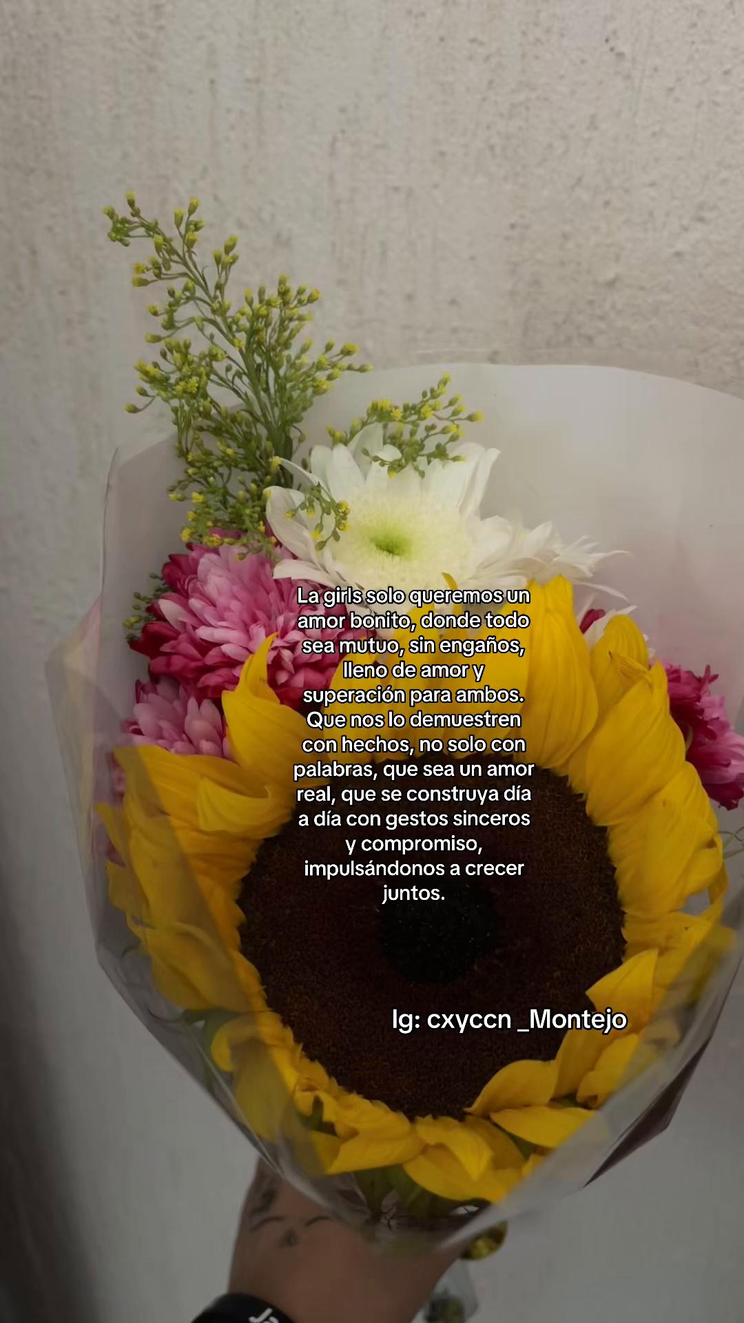 @y2k.diana2 .