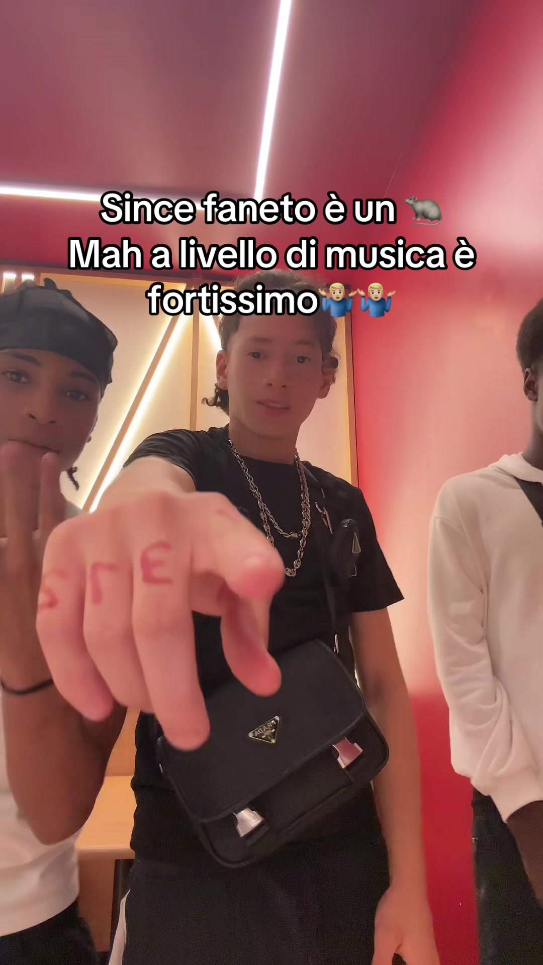 @rayanitoo