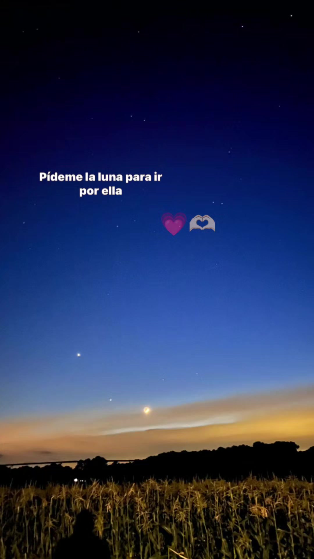 @🐍ℳ&iacute;𝒶🎀✨