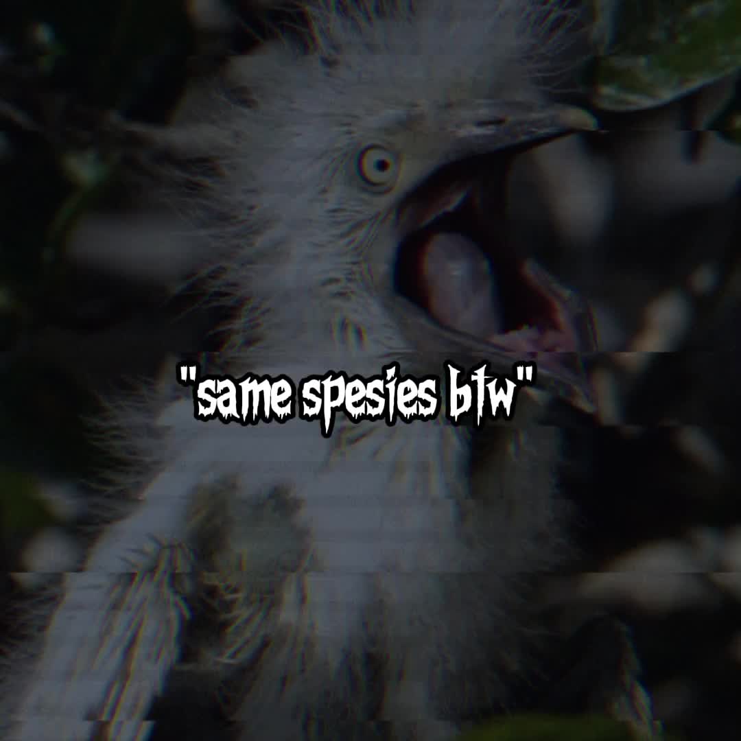 @A🔞