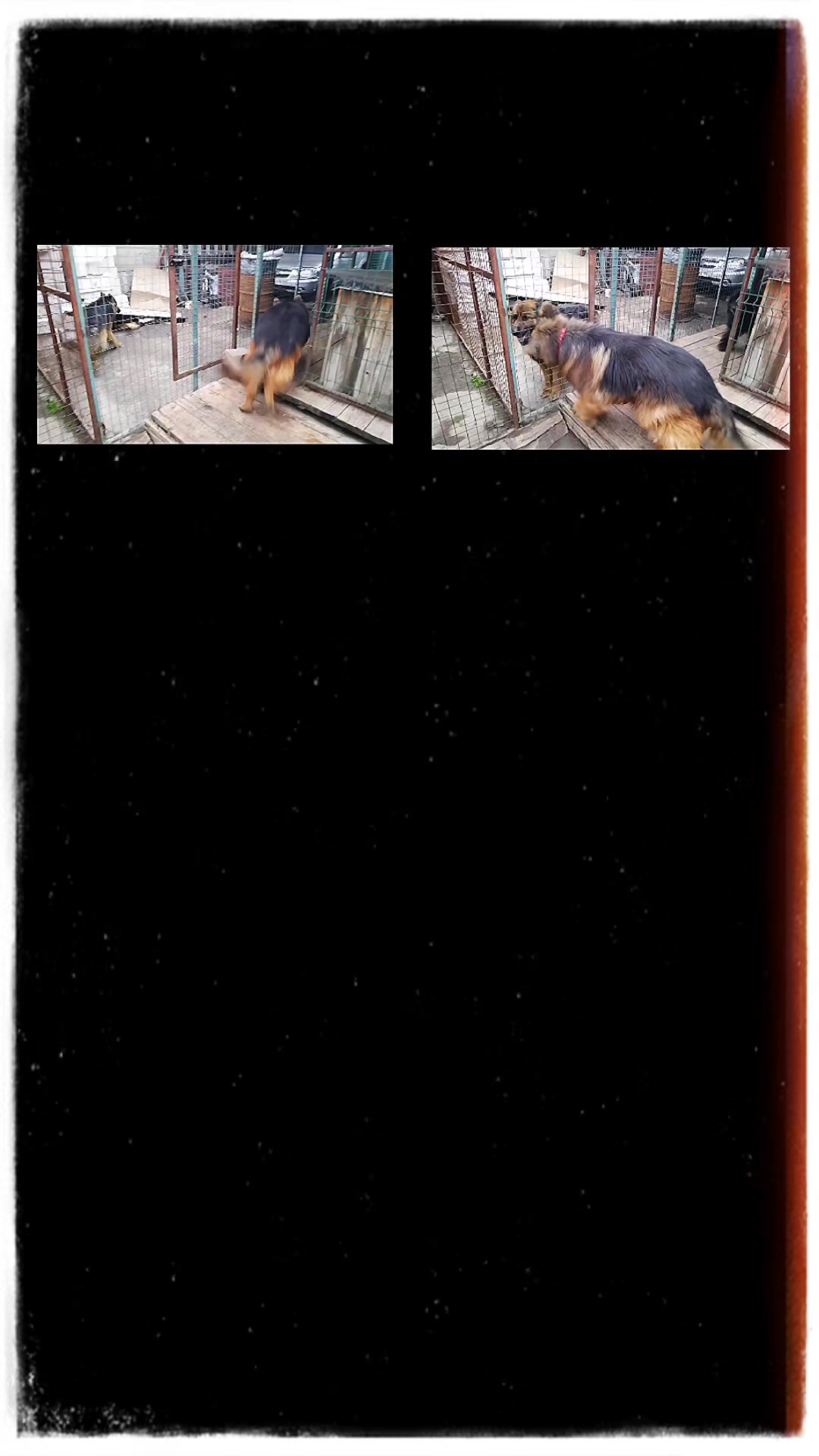 @Гаянэ Григорян