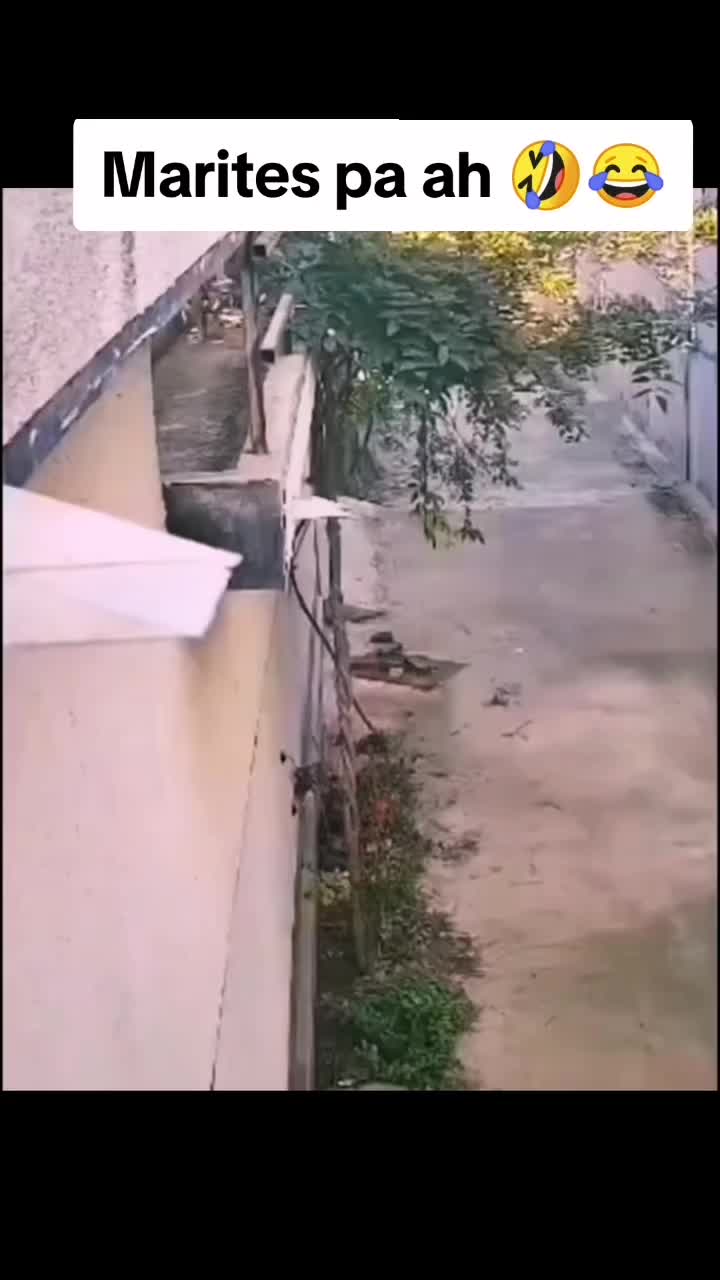 @panaytravels