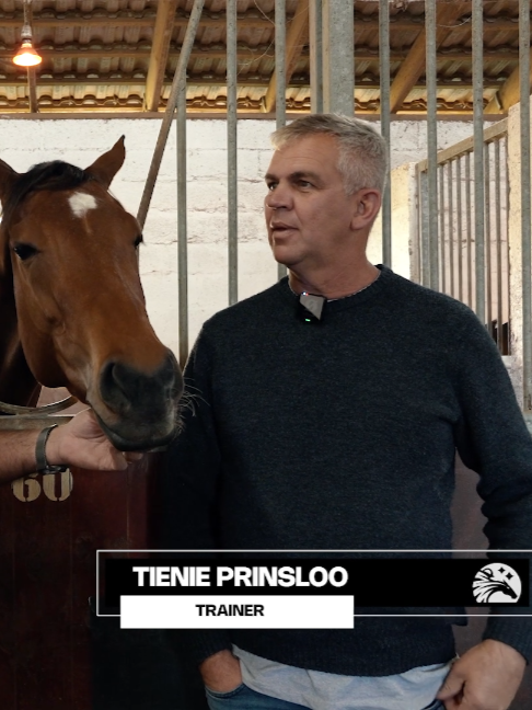 @Gallop TV
