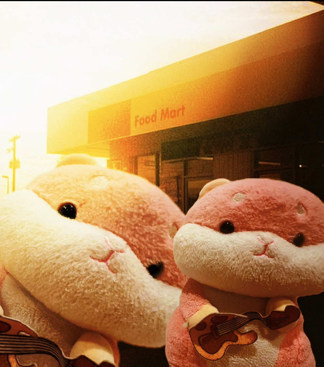 @🐹