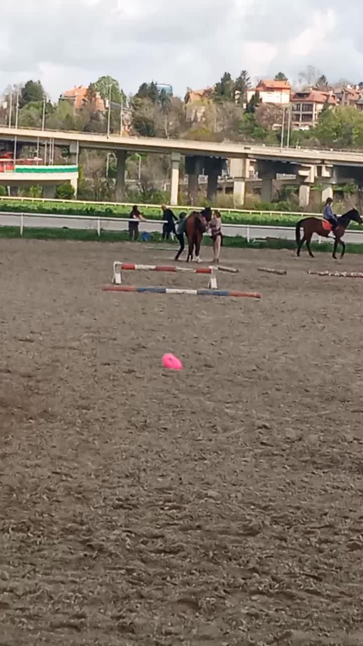 @меги🐎