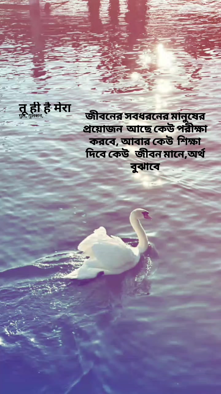 @Tamuuđ