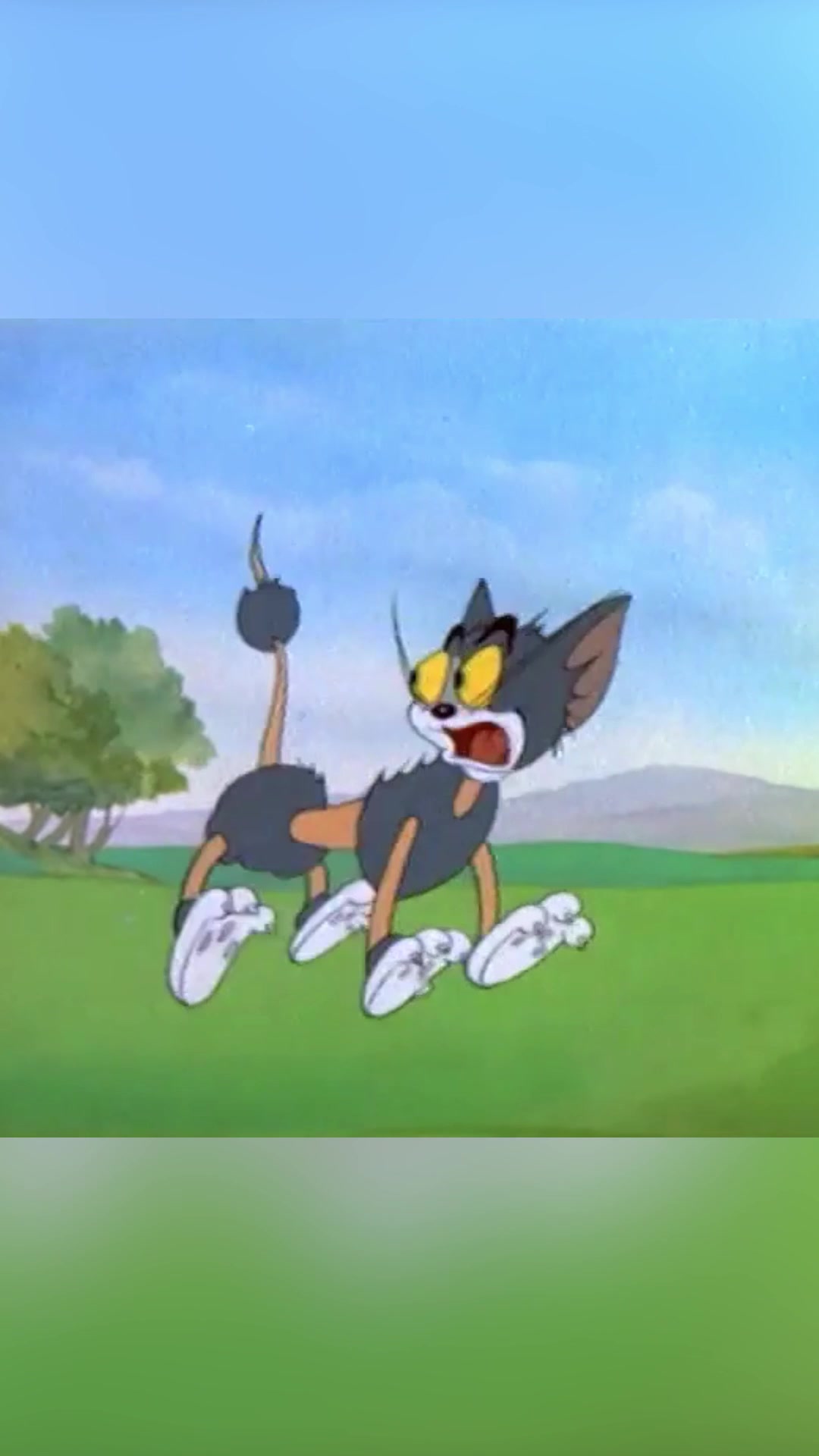 @Tom and Jerry