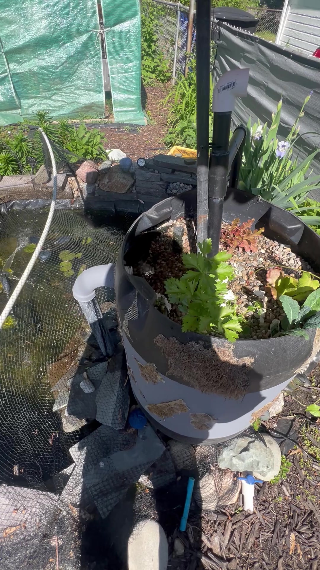 @DirtyGloveGardening👨🏾&zwj;🌾