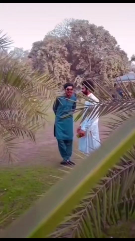 @MAHR FAYYAZ NAUL