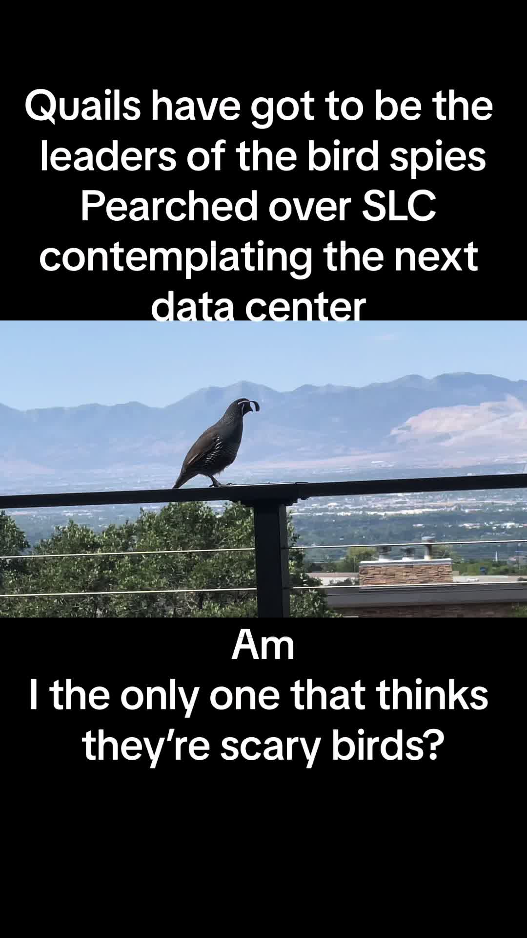 @Ali Rez