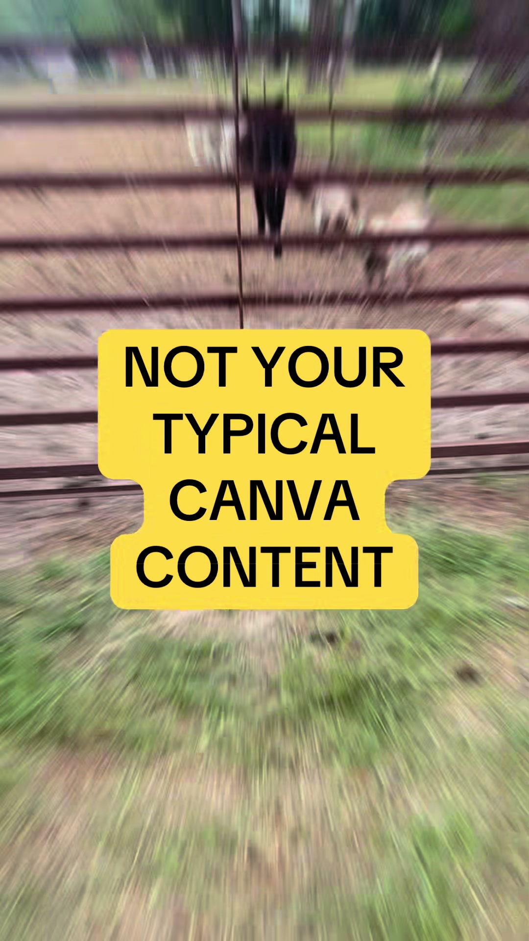 @canva.with.missi