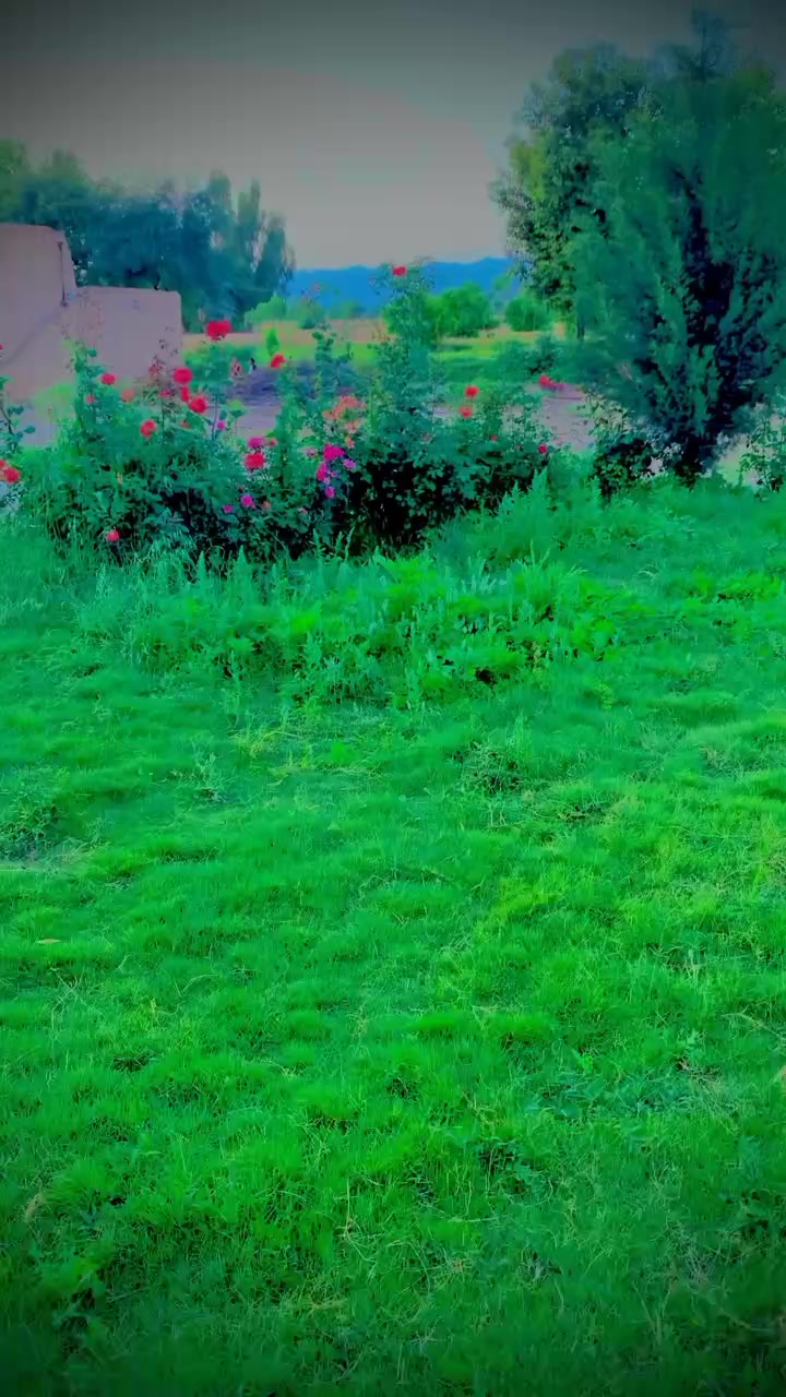 @افسوس سے پہلے احتیاط ضروری 💘
