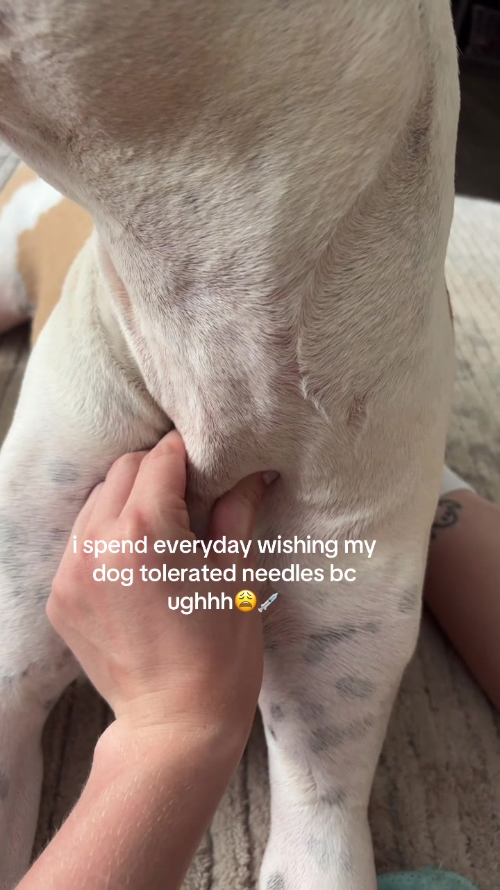 @meaghan.stafford