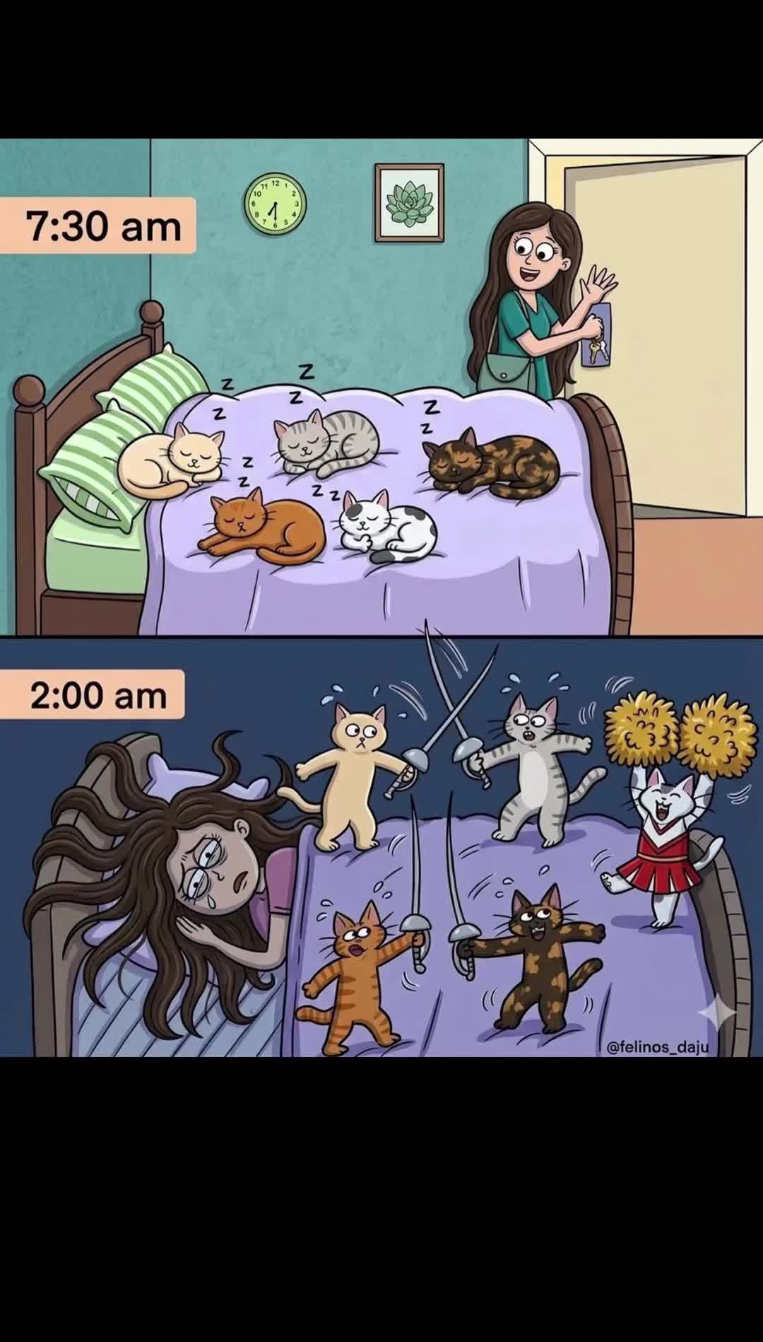 @Purrrrfect Moments