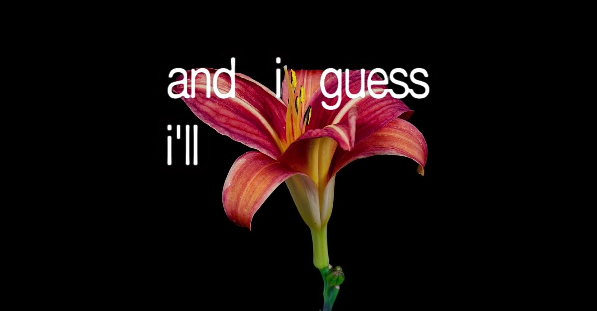 @Gavin ♱