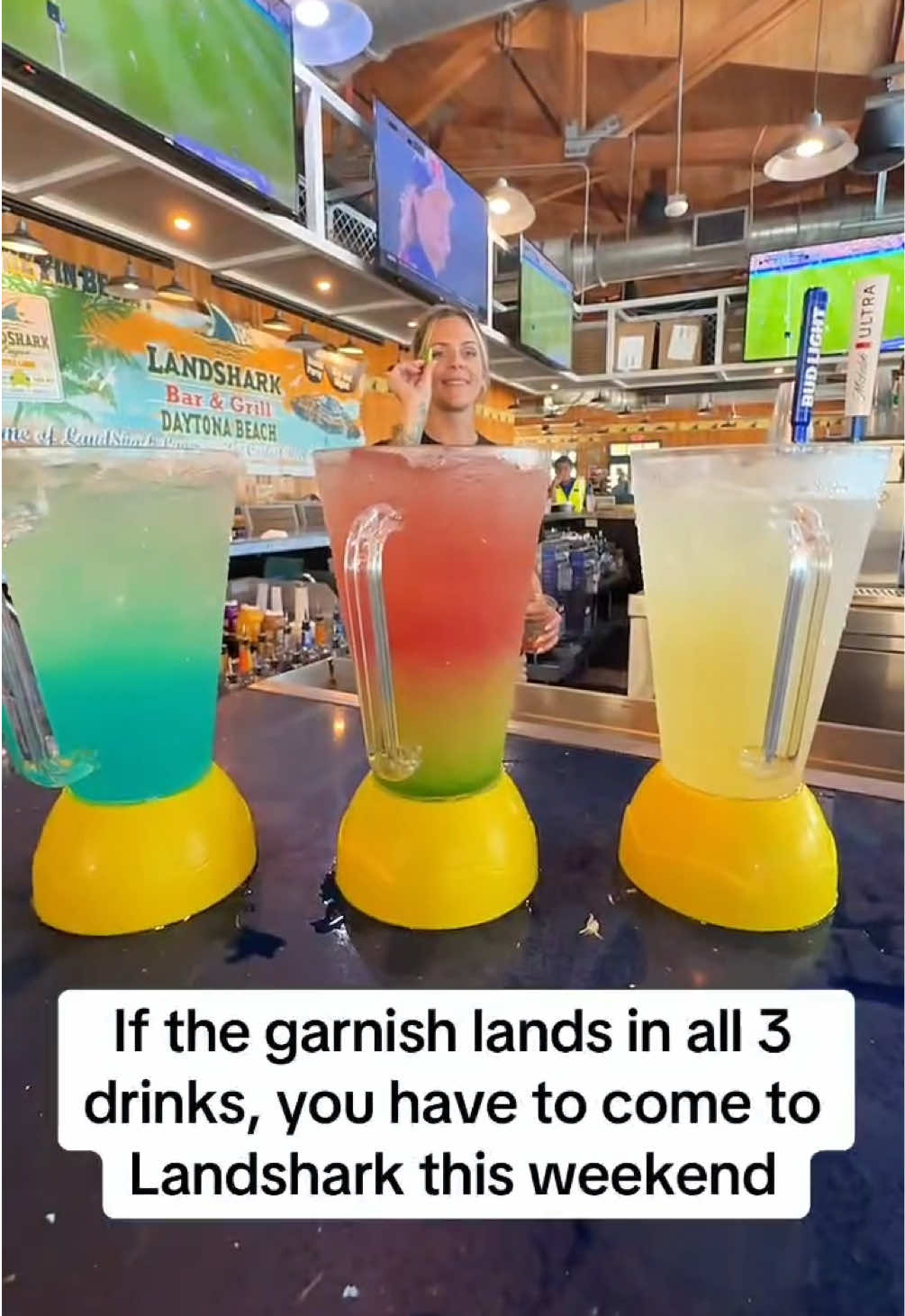 @LandShark Bar & Grill