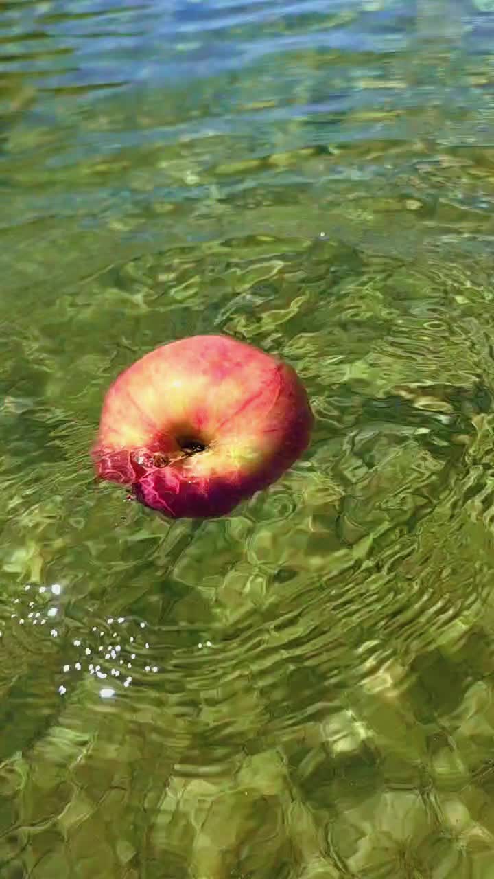 @Apple