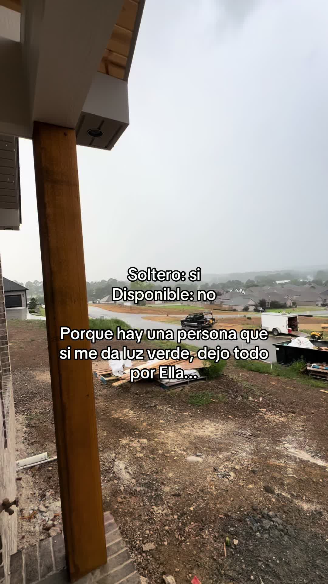 @qiique🕷️