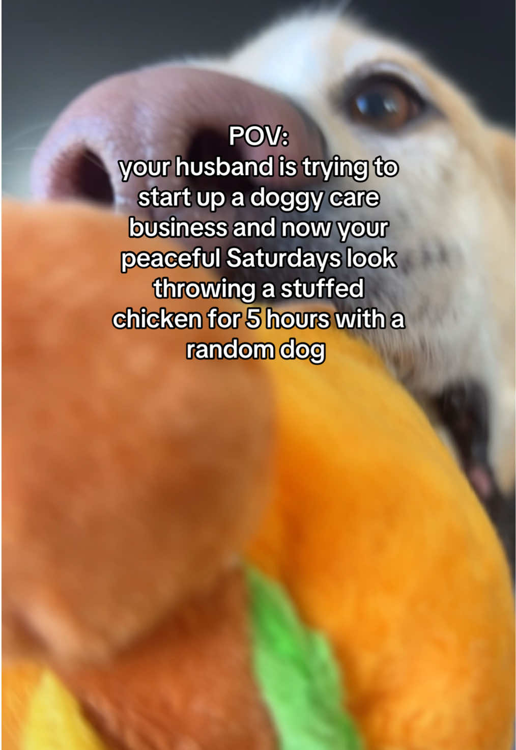 @Jo