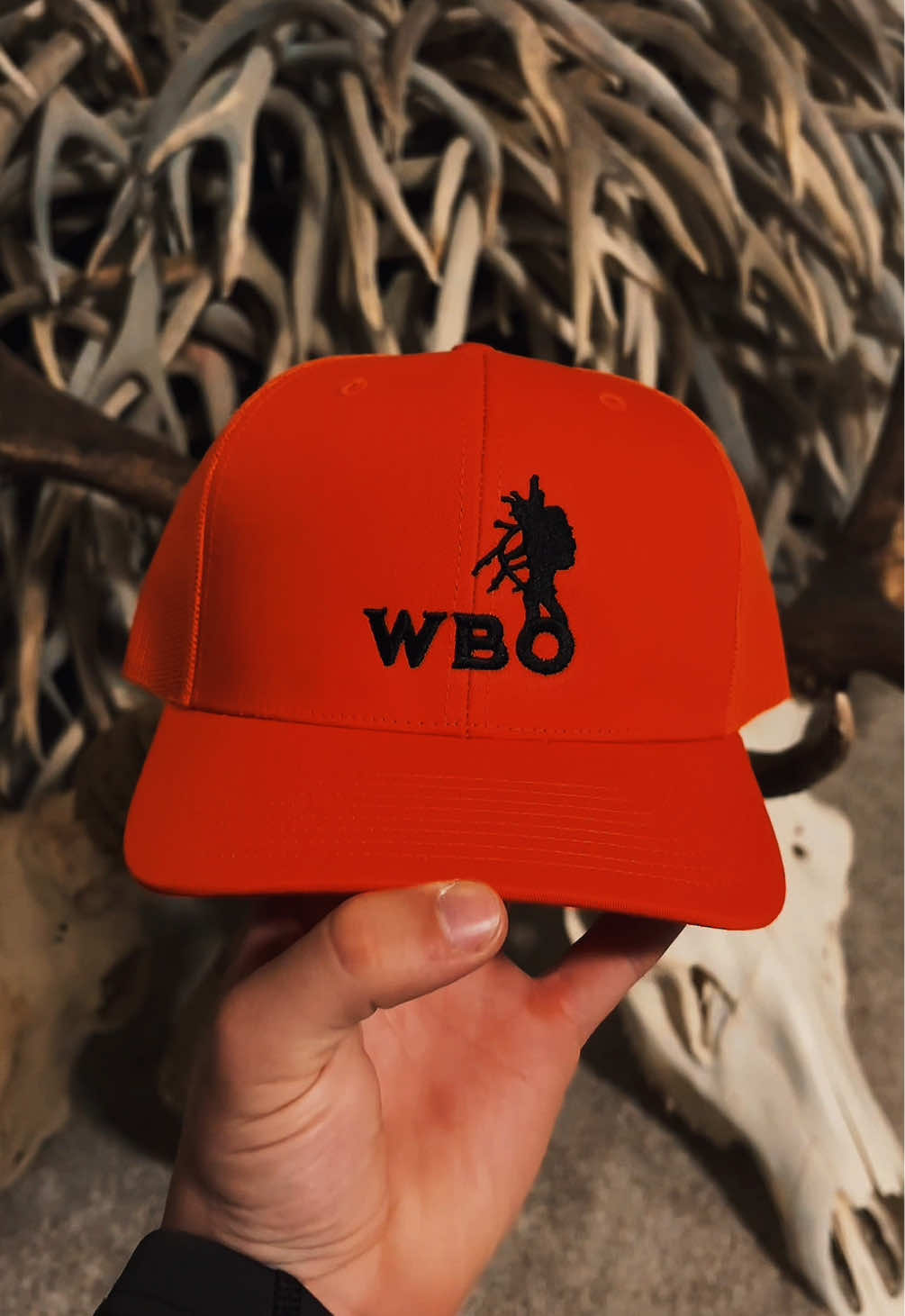 @Wild Born Outdoors - Saxton