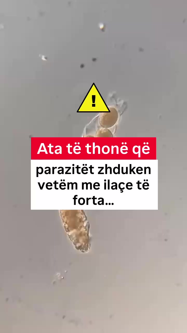 @adena.al