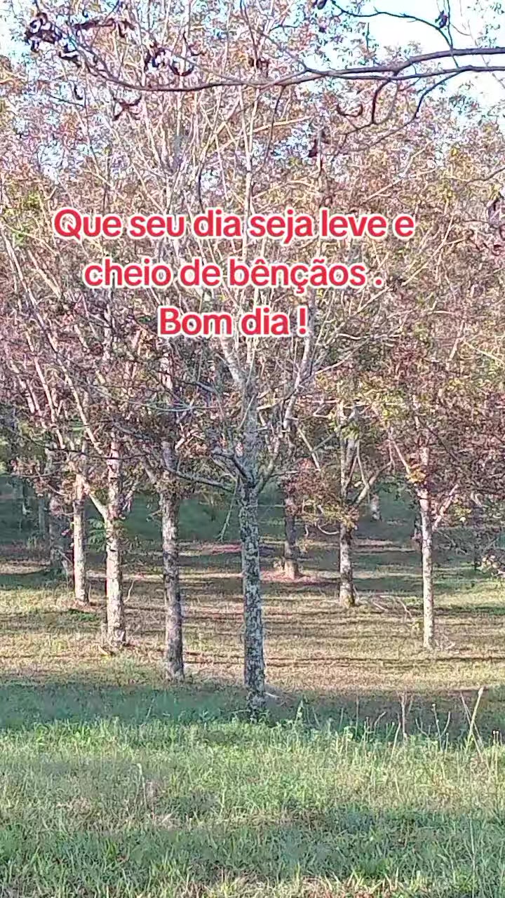 @Marlusa Ferreira Moreira