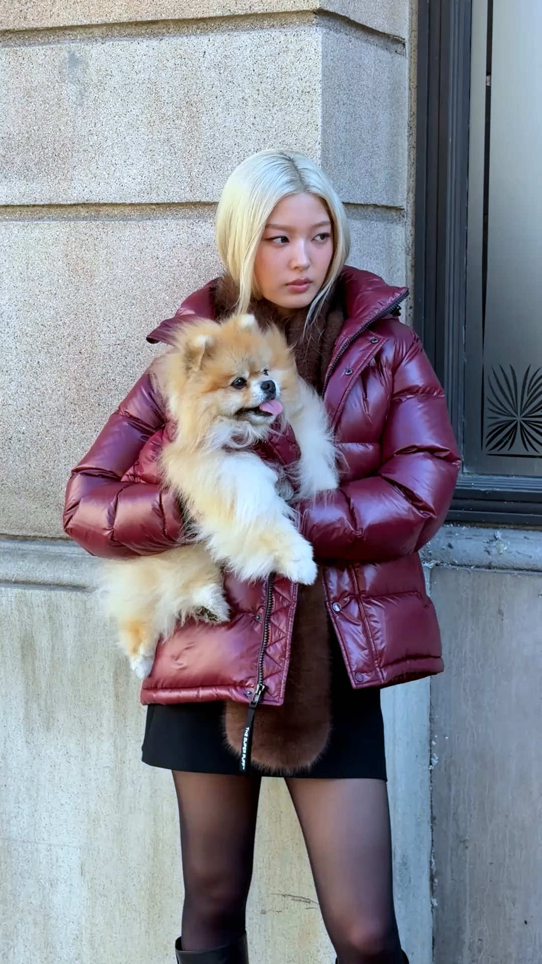 @Aritzia