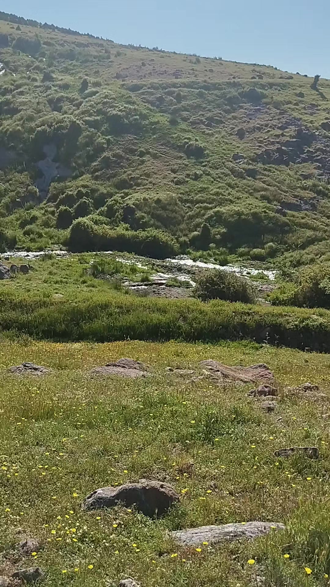 @mevlüt