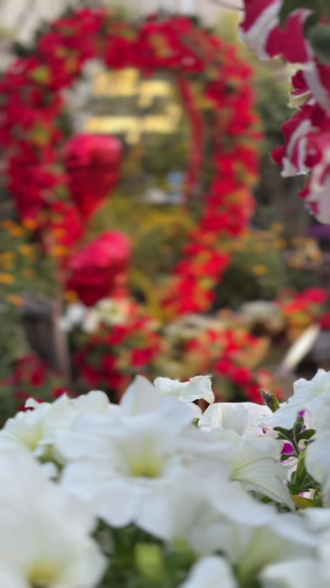 @Newprakritigarden