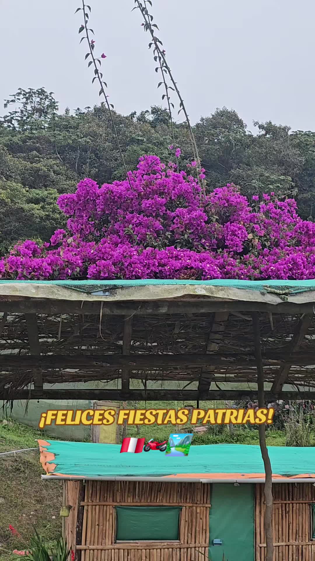 @Aldo Q_De La Cruz