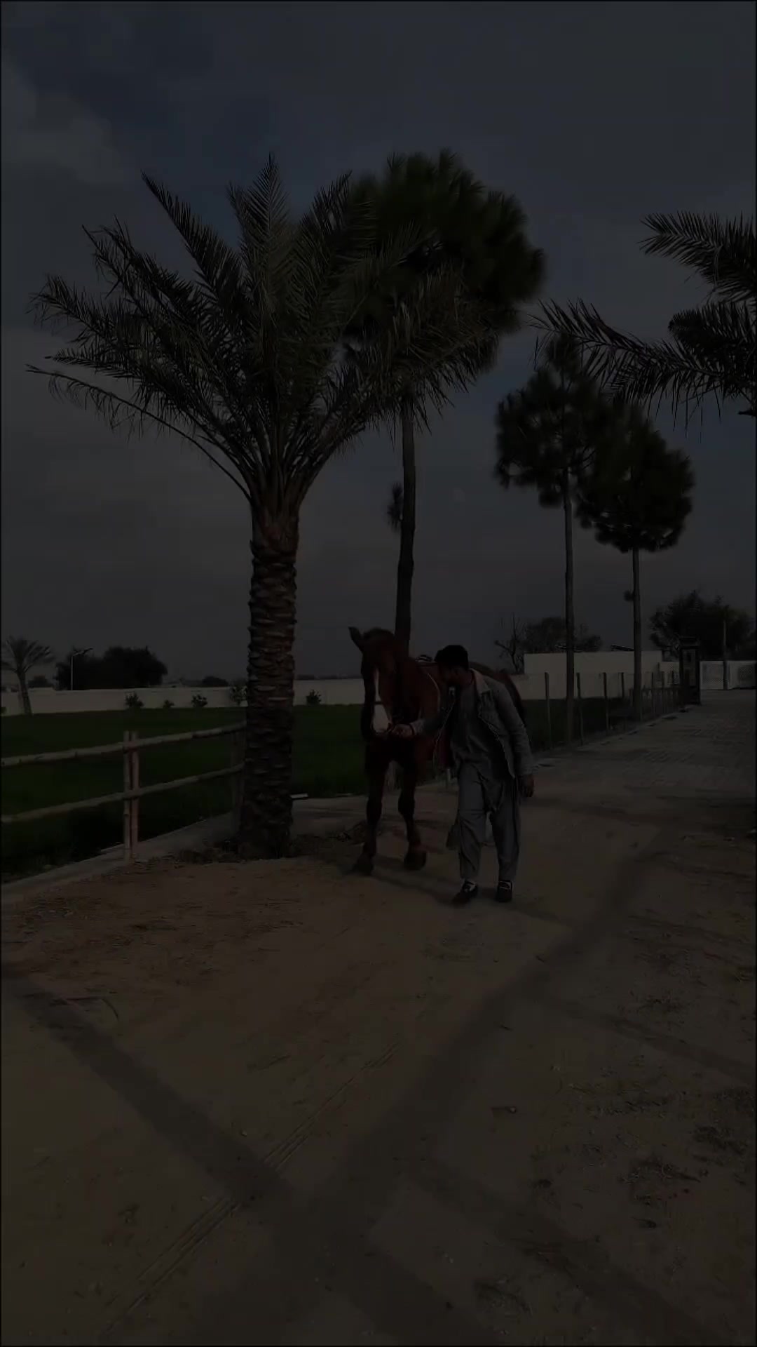 @مرکزی ذوالجناح تلہ گنگ