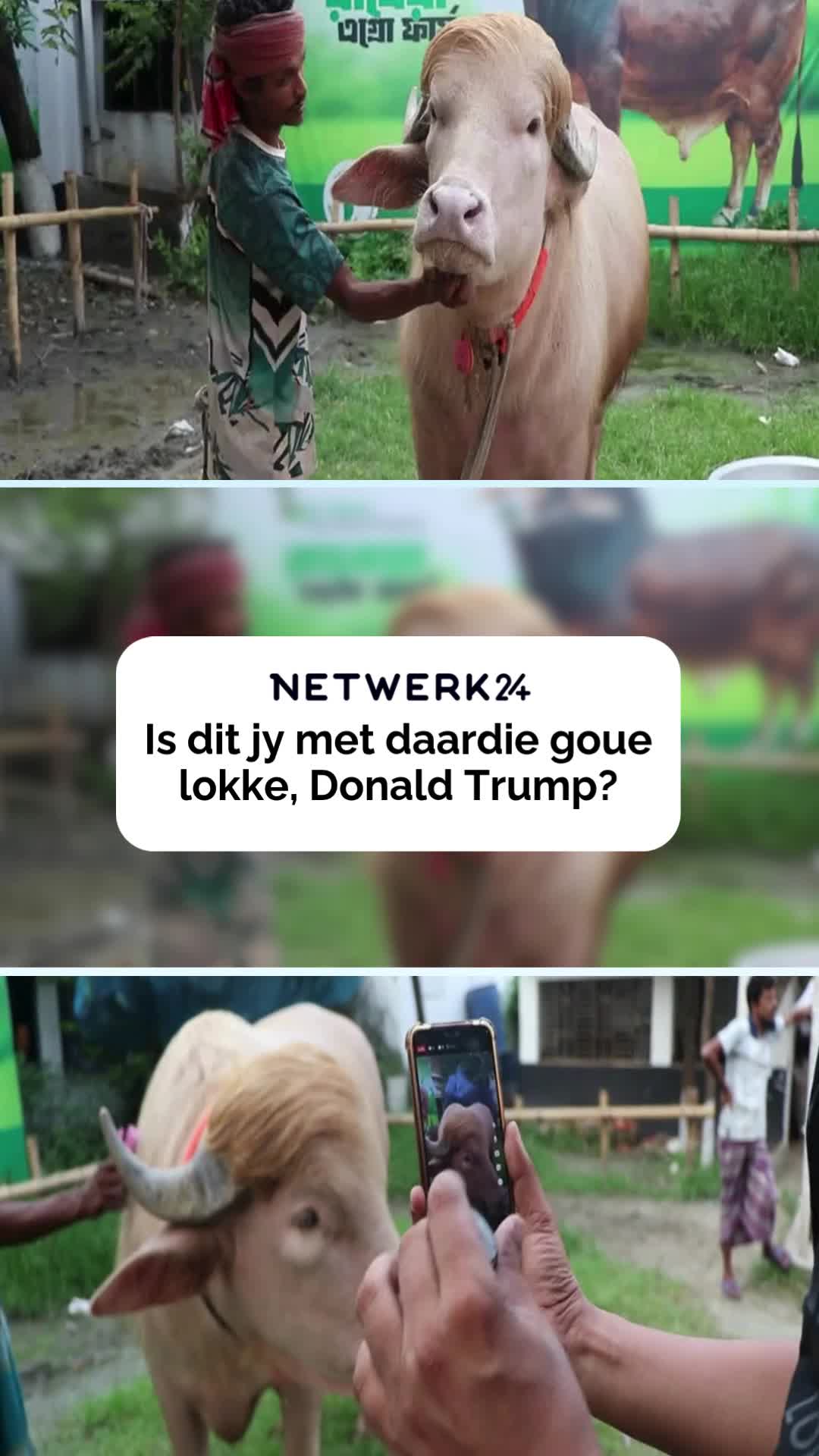 @Netwerk24